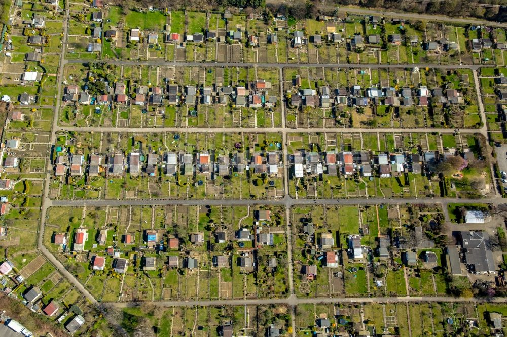 Luftbild Dortmund - Parzellen einer Kleingartenanlage Garten Verein Nord Ost e.V. an der Hannöversche Straße in Dortmund im Bundesland Nordrhein-Westfalen