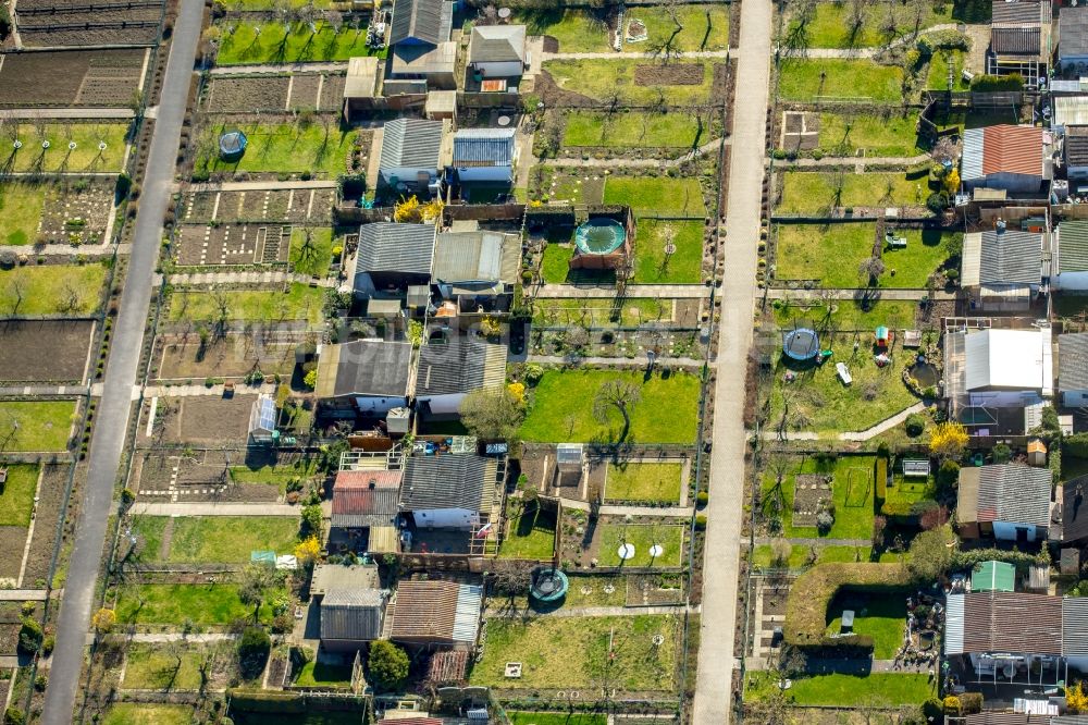 Luftbild Dortmund - Parzellen einer Kleingartenanlage Garten Verein Nord Ost e.V. an der Hannöversche Straße in Dortmund im Bundesland Nordrhein-Westfalen