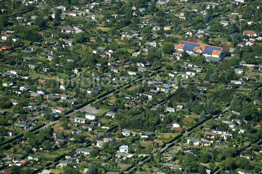 Torgau von oben - Parzellen der Kleingartenanlage KGV Süptitzler Weg im Westen von Torgau im Bundesland Sachsen