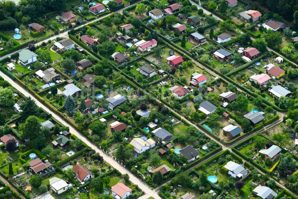 Luftbild Hirschfelde - Parzellen einer Kleingartenanlage des KgV Waldesruh Hirschfelde e.V. Beiersdorfer Straße an der in Hirschfelde im Bundesland Brandenburg, Deutschland