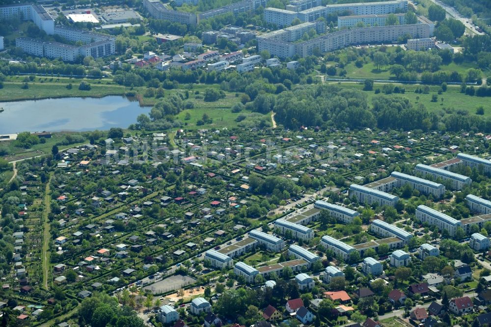 Luftbild Berlin - Parzellen einer Kleingartenanlage Kleingartenverein Am Kienberg e.V. im Ortsteil Hellersdorf in Berlin, Deutschland