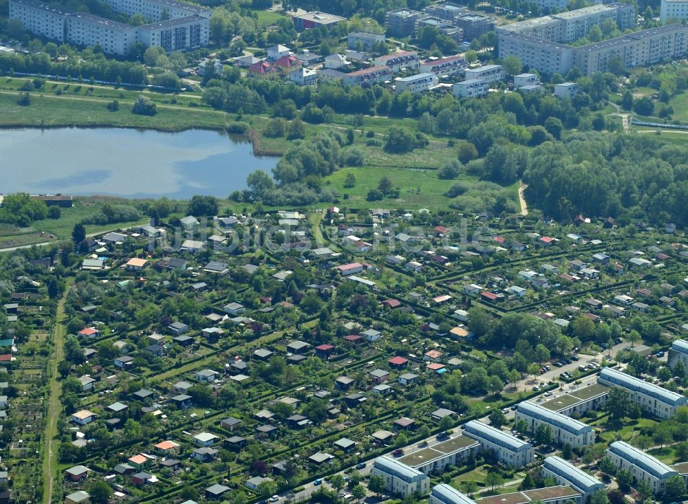 Luftaufnahme Berlin - Parzellen einer Kleingartenanlage Kleingartenverein Am Kienberg e.V. im Ortsteil Hellersdorf in Berlin, Deutschland