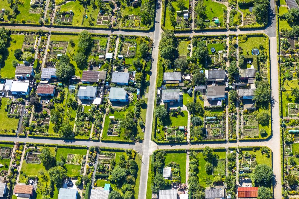 Witten von oben - Parzellen einer Kleingartenanlage des Kleingartenvereins Gemeinwohl in Witten im Bundesland Nordrhein-Westfalen, Deutschland