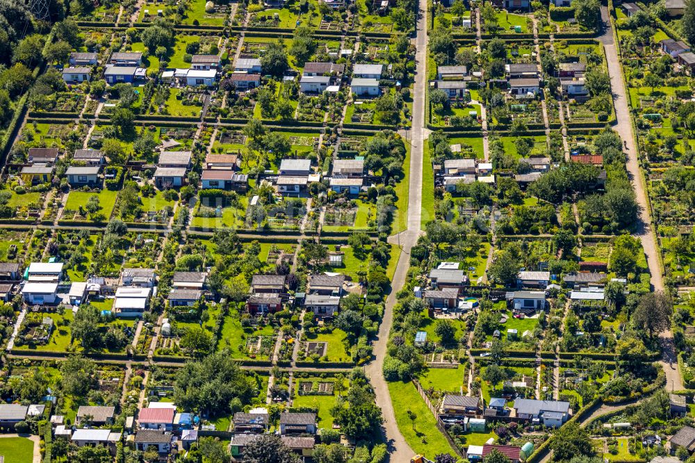 Luftbild Witten - Parzellen einer Kleingartenanlage des Kleingartenvereins Gemeinwohl in Witten im Bundesland Nordrhein-Westfalen, Deutschland