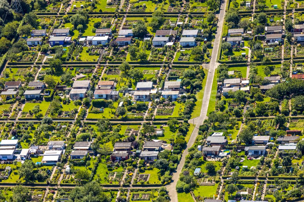 Luftaufnahme Witten - Parzellen einer Kleingartenanlage des Kleingartenvereins Gemeinwohl in Witten im Bundesland Nordrhein-Westfalen, Deutschland