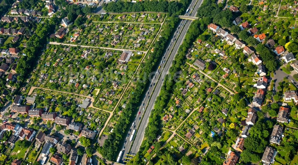 Münster von oben - Parzellen einer Kleingartenanlage Kleingärtnerverein Südhöhe e.V. an der B51 in Münster im Bundesland Nordrhein-Westfalen