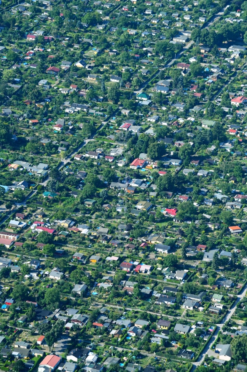 Berlin von oben - Parzellen einer Kleingartenanlage Königsheideweg - Johannisthaler Chaussee im Ortsteil Johannisthal in Berlin, Deutschland