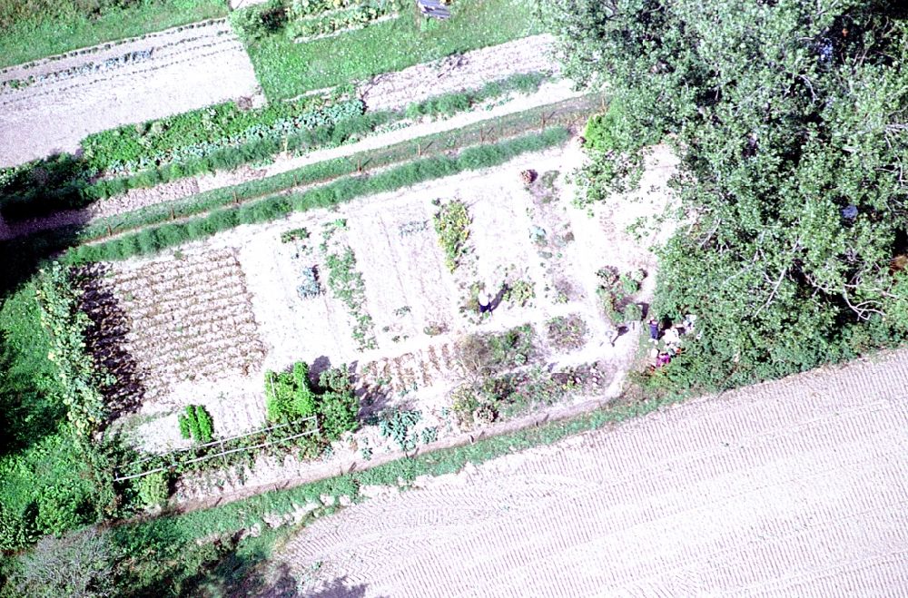 Liesten von oben - Parzellen einer Kleingartenanlage in Liesten im Bundesland Sachsen-Anhalt, Deutschland