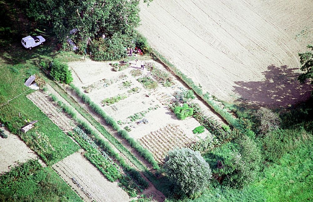 Liesten aus der Vogelperspektive: Parzellen einer Kleingartenanlage in Liesten im Bundesland Sachsen-Anhalt, Deutschland