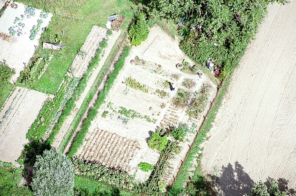 Luftaufnahme Liesten - Parzellen einer Kleingartenanlage in Liesten im Bundesland Sachsen-Anhalt, Deutschland