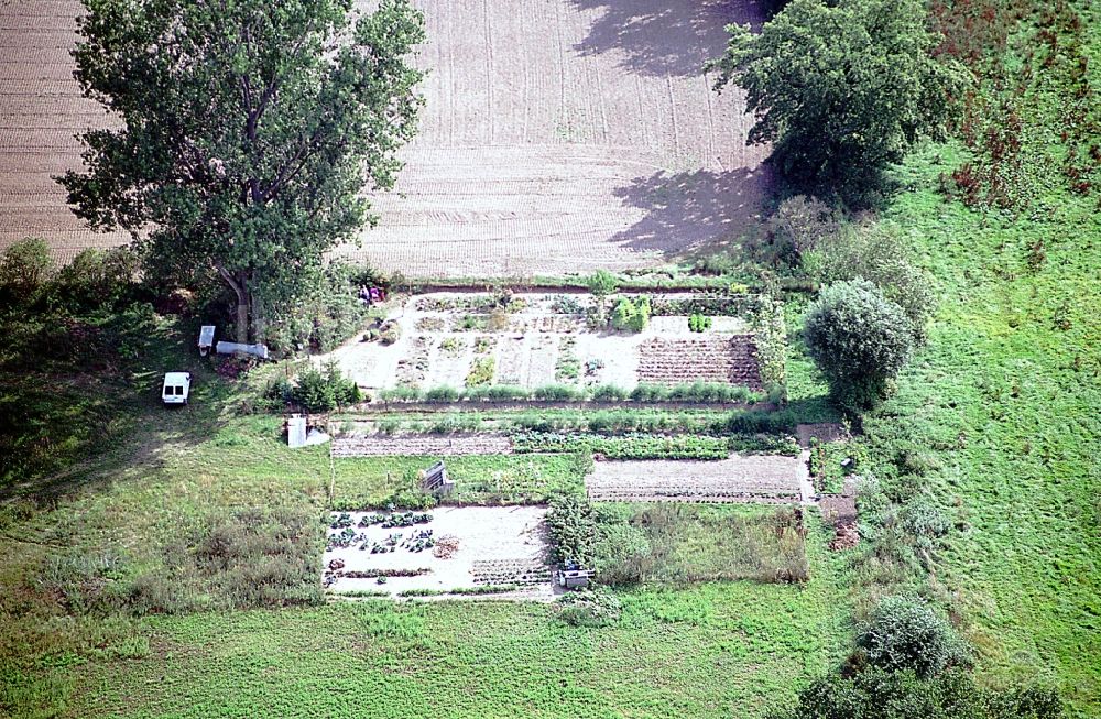 Liesten aus der Vogelperspektive: Parzellen einer Kleingartenanlage in Liesten im Bundesland Sachsen-Anhalt, Deutschland