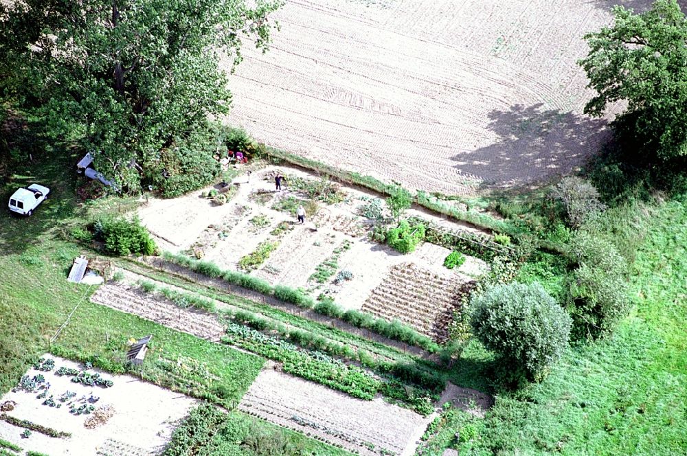 Luftbild Liesten - Parzellen einer Kleingartenanlage in Liesten im Bundesland Sachsen-Anhalt, Deutschland