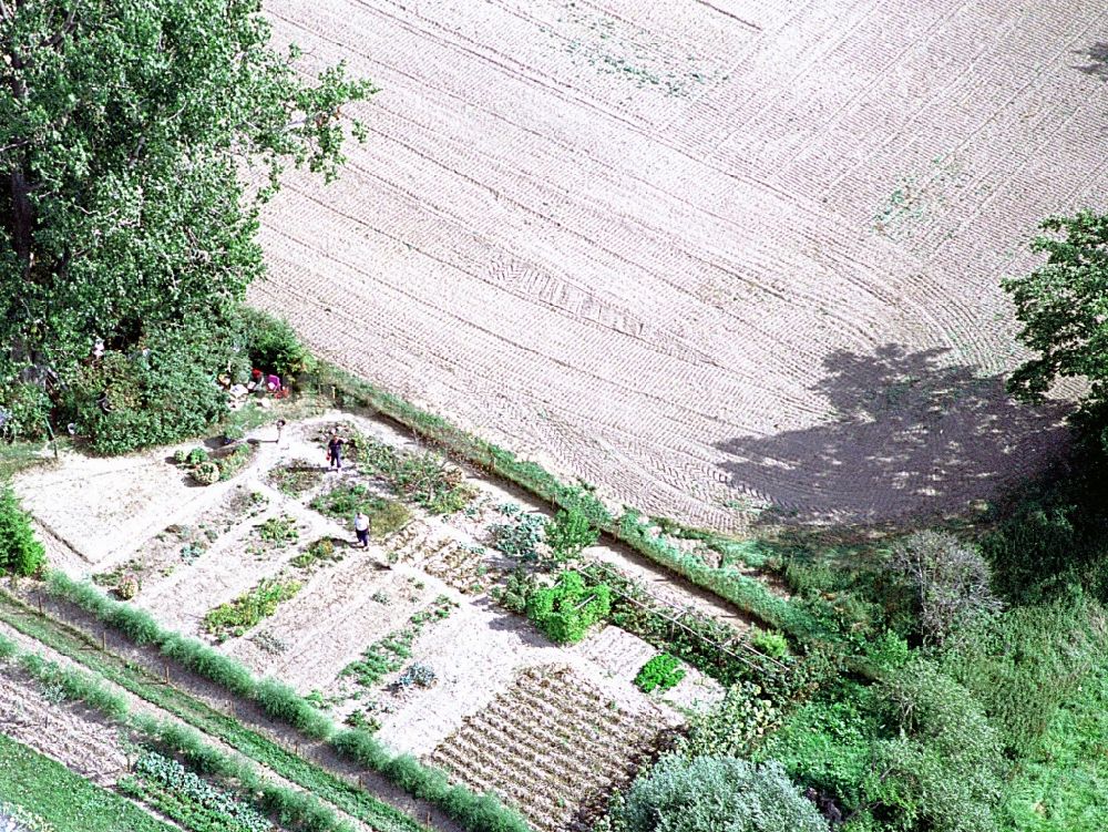 Luftaufnahme Liesten - Parzellen einer Kleingartenanlage in Liesten im Bundesland Sachsen-Anhalt, Deutschland