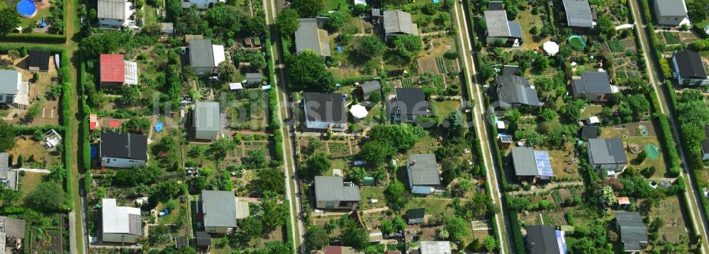 Luftbild Magdeburg - Parzellen einer Kleingartenanlage in Magdeburg im Bundesland Sachsen-Anhalt