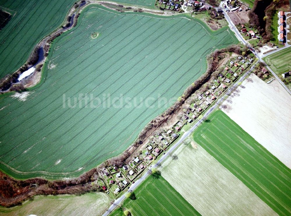 Mehrow von oben - Parzellen einer Kleingartenanlage in Mehrow im Bundesland Brandenburg, Deutschland