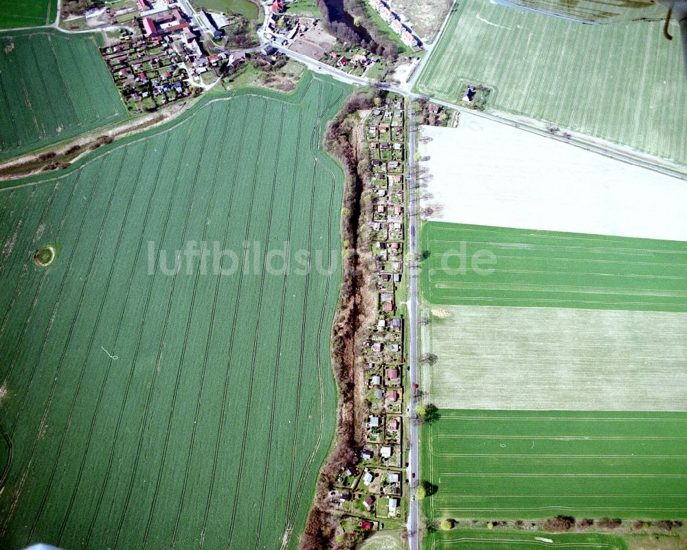 Luftaufnahme Mehrow - Parzellen einer Kleingartenanlage in Mehrow im Bundesland Brandenburg, Deutschland