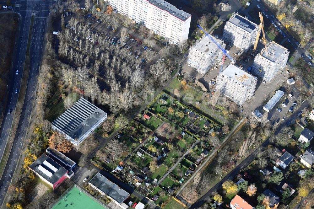 Berlin von oben - Parzellen einer Kleingartenanlage Märkische Spitze - Eugen-Roth-Weg im Ortsteil Marzahn in Berlin, Deutschland