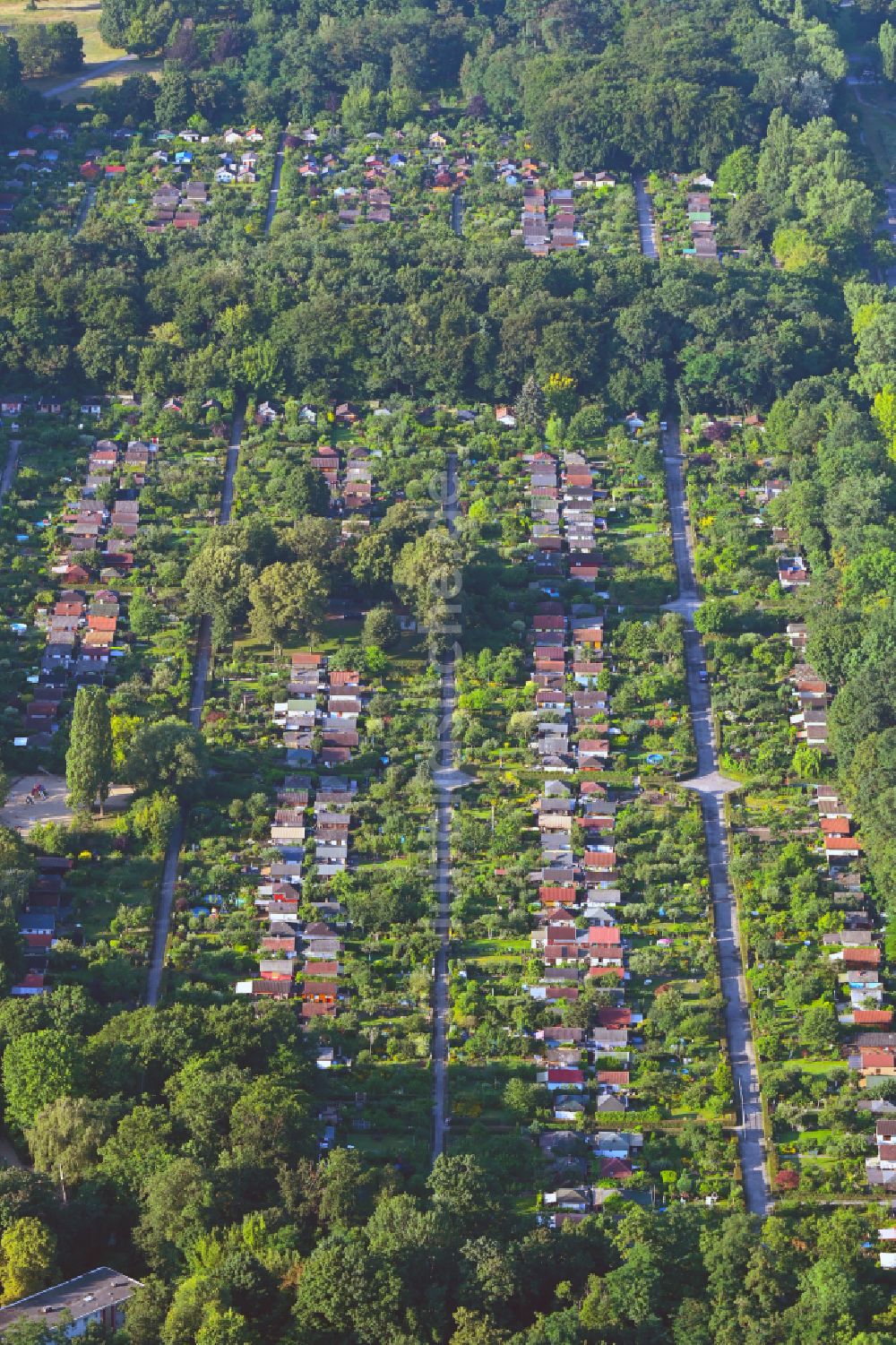 Luftaufnahme Berlin - Parzellen einer Kleingartenanlage im Ortsteil Wedding in Berlin, Deutschland