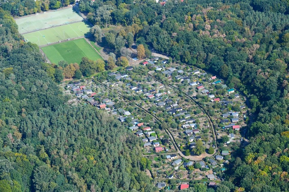 Luftaufnahme Potsdam - Parzellen einer Kleingartenanlage in Potsdam im Bundesland Brandenburg, Deutschland