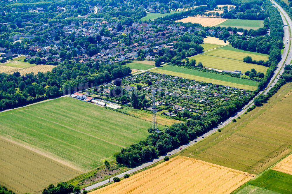 Recklinghausen von oben - Parzellen einer Kleingartenanlage in Recklinghausen im Bundesland Nordrhein-Westfalen, Deutschland