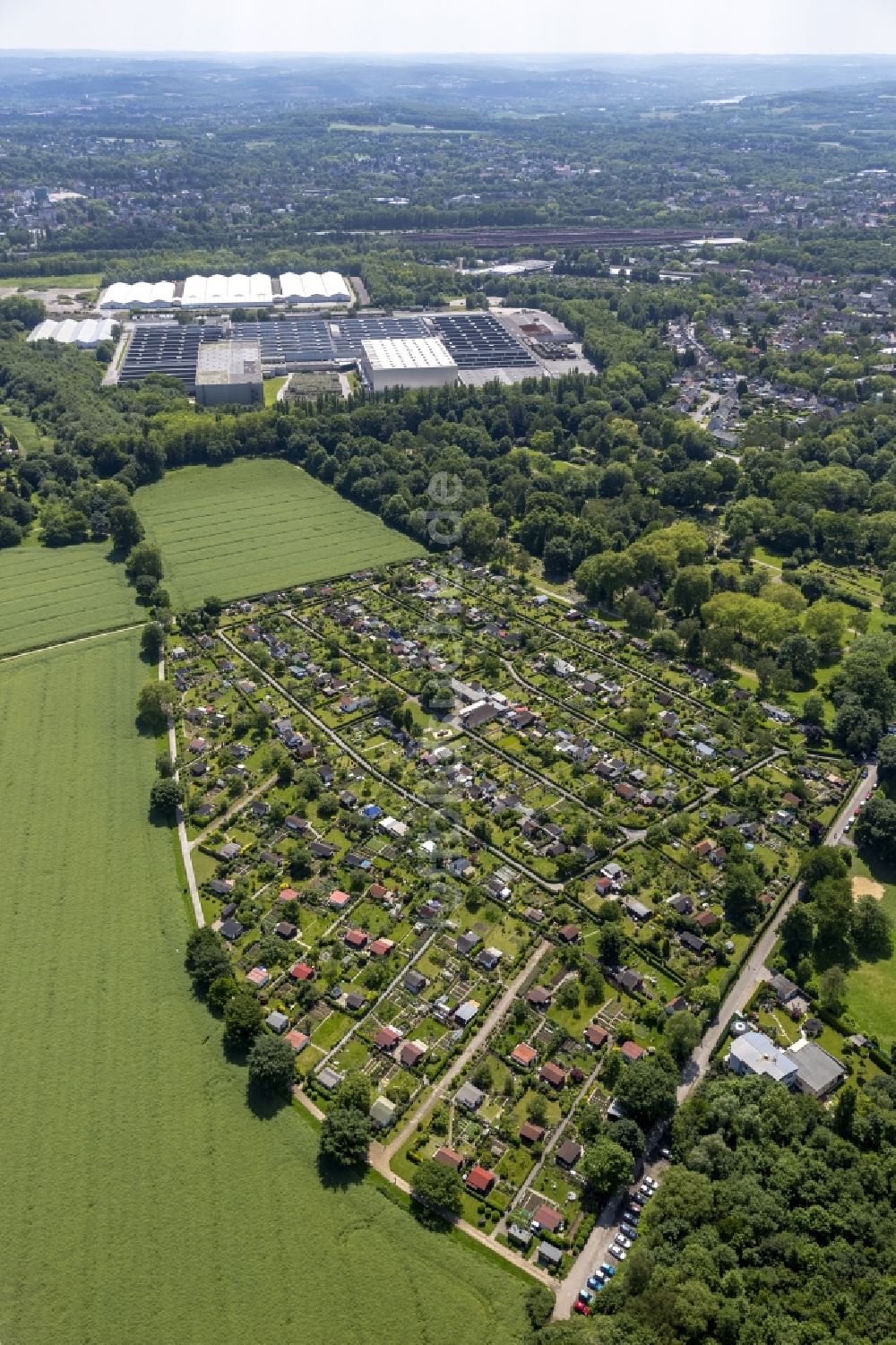 Bochum aus der Vogelperspektive: Parzellen der Kleingartenanlage - Schrebergarten Lütge Heide im Stadtteil Werne von Bochum in Nordrhein-Westfalen