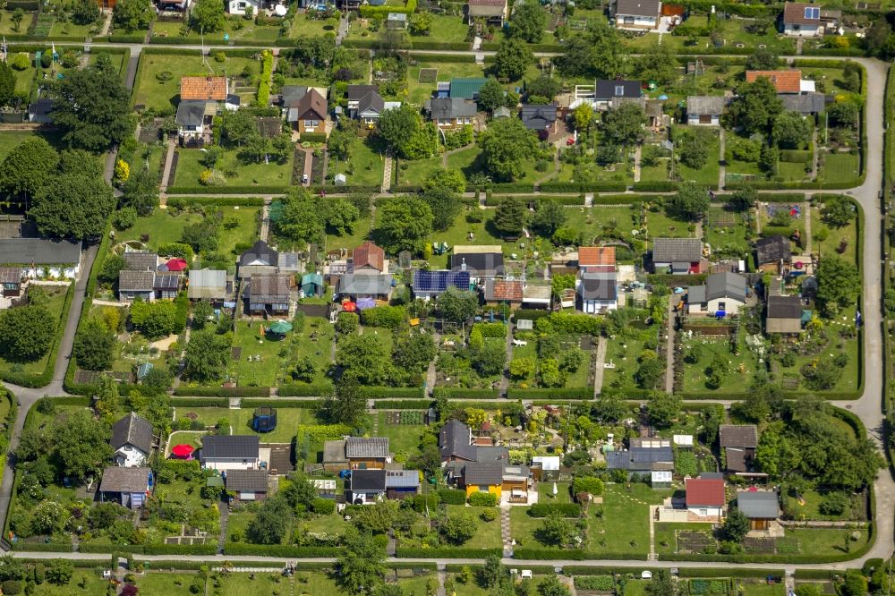 Luftbild Bochum - Parzellen der Kleingartenanlage - Schrebergarten Lütge Heide im Stadtteil Werne von Bochum in Nordrhein-Westfalen