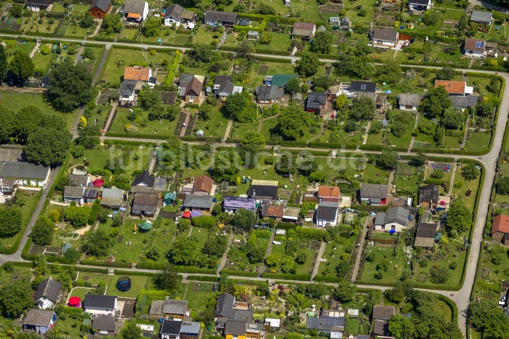 Bochum von oben - Parzellen der Kleingartenanlage - Schrebergarten Lütge Heide im Stadtteil Werne von Bochum in Nordrhein-Westfalen