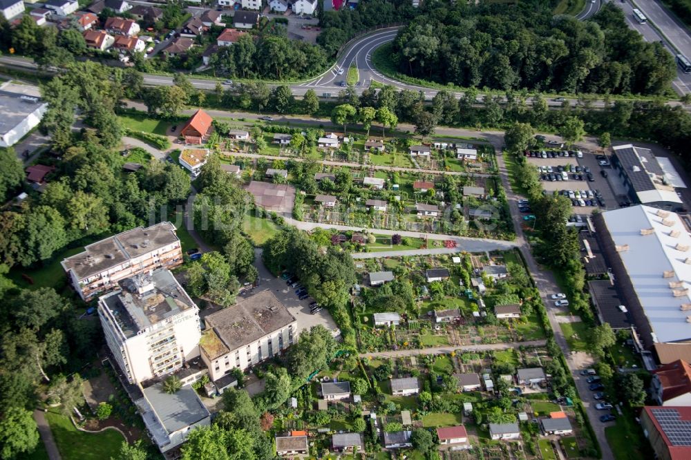 Hemsbach von oben - Parzellen einer Kleingartenanlage am Wiesensee in Hemsbach im Bundesland Baden-Württemberg, Deutschland