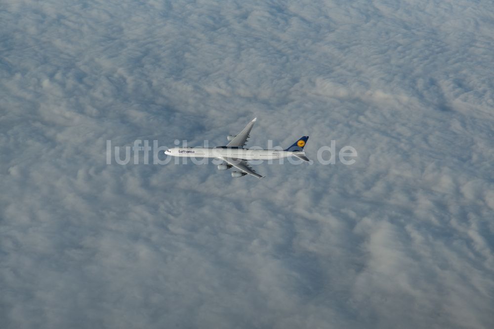 Kangerlussuaq von oben - Passagierflugzeug Lufthansa Airbus A340 im Fluge über dem Luftraum in Kangerlussuaq in Kitaa, Grönland