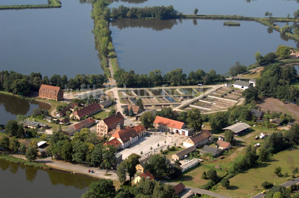 Peitz aus der Vogelperspektive: Peitzer Fischteiche