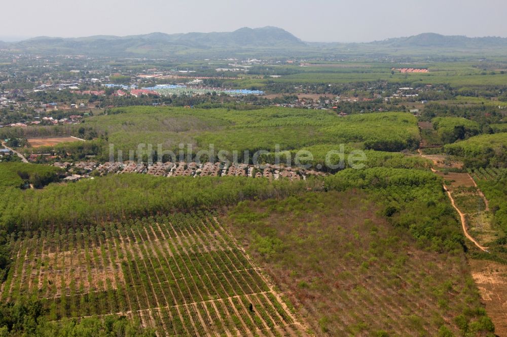 Si Sunthon von oben - Plantagen- Landschaft bei Phuket Thani Village in Si Sunthon in Thailand