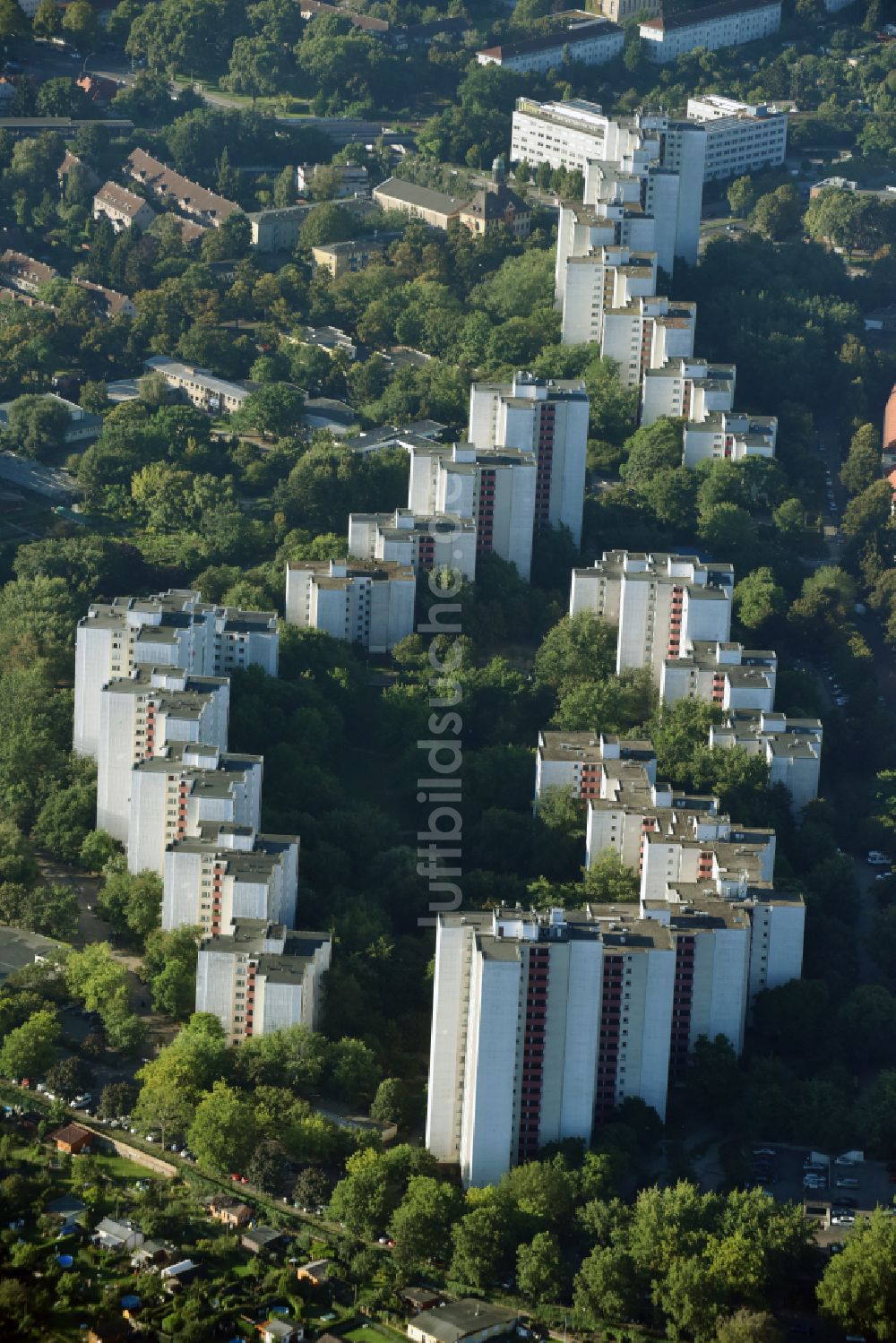 Luftbild Berlin - Plattenbau- Hochhaus- Wohnsiedlung Dammwegsiedlung - Weiße Siedlung im Ortsteil Neukölln in Berlin, Deutschland