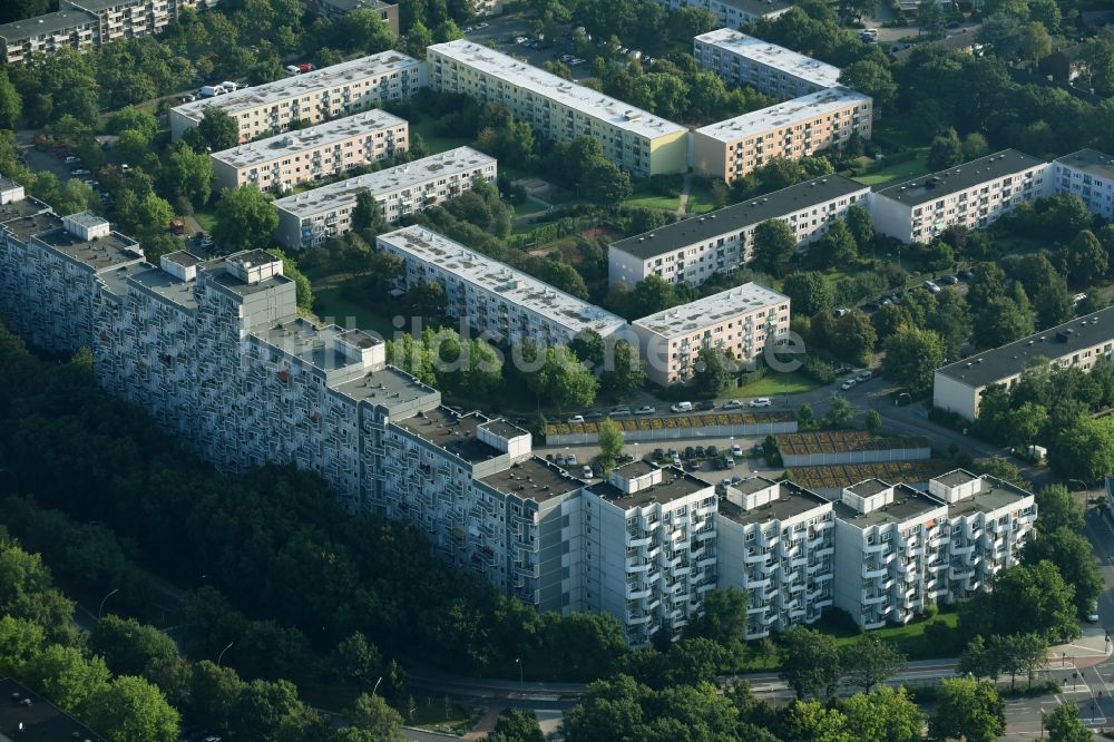 Hamburg von oben - Plattenbau- Hochhaus- Wohnsiedlung entlang den Straßen Immenbusch und Bornheide in Hamburg