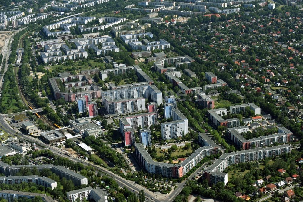 Berlin von oben - Plattenbau- Hochhaus- Wohnsiedlung Hellersdorf in Berlin