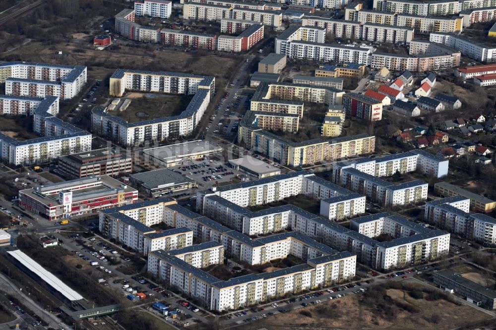 Luftbild Berlin - Plattenbau- Hochhaus- Wohnsiedlung Neue Grottkauer Straße - Am Baltenring im Ortsteil Kaulsdorf in Berlin