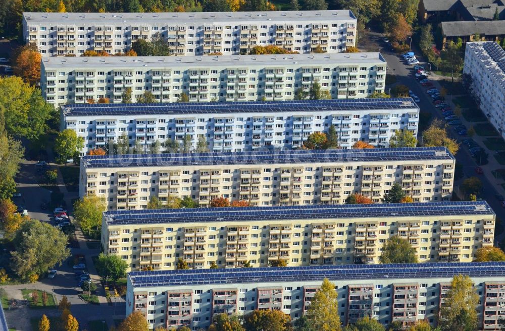 Greifswald aus der Vogelperspektive: Plattenbau Wohngebiet in Greifswald im Bundesland Mecklenburg-Vorpommern