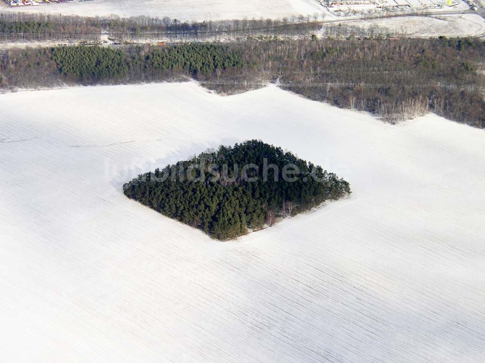 Schönefeld/Brandenburg aus der Vogelperspektive: 22.01.2004 quadrartisches nett ansehenliches Waldstück bei Schönefeld