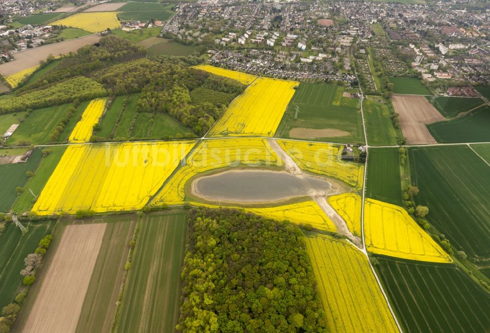 Luftbild Wickede - Raps- Auge von Wickede, einem Rapsfeld auf dem Wickeder Feld im Bundesland Nordrhein-Westfalen