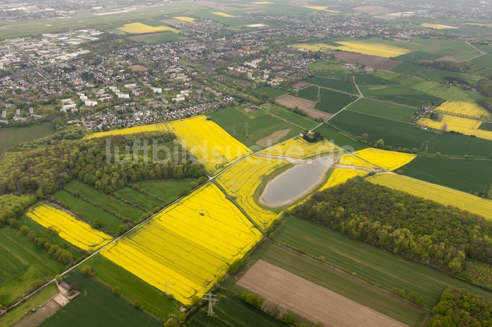 Wickede von oben - Raps- Auge von Wickede, einem Rapsfeld auf dem Wickeder Feld im Bundesland Nordrhein-Westfalen