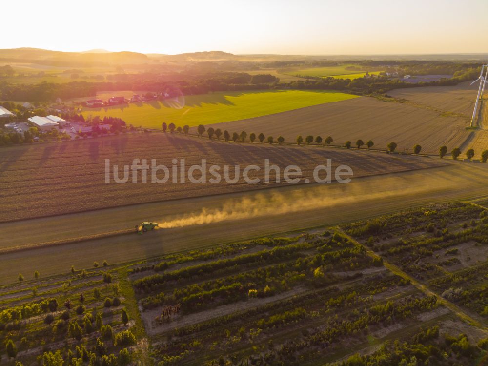 Luftbild Elstra - Rapsernte in Elstra im Bundesland Sachsen, Deutschland