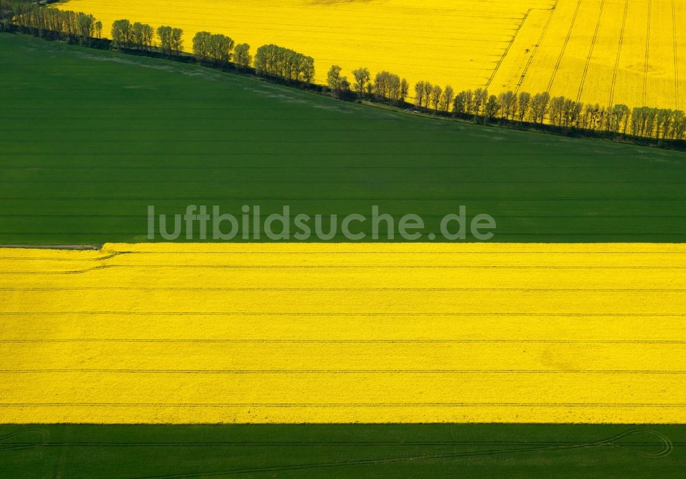 Luftbild Jerichow - Rapsfeld - Frühjahrs- Landschaft und Strukturen bei Jerichow im Bundesland Sachsen-Anhalt