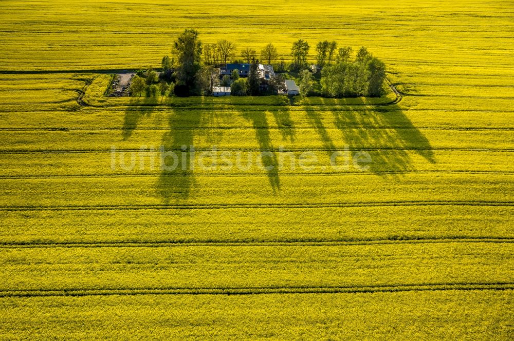 Luftaufnahme Wesenberg - Rapsfeld- Landschaft bei Wesenberg im Bundesland Mecklenburg-Vorpommern