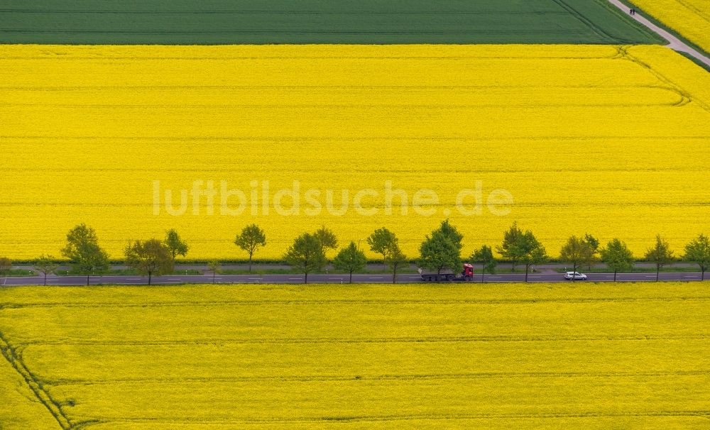 Luftaufnahme Dortmund - Rapsfeld - Landschaft und Strukturen im Stadtteil Brackel in Dortmund im Bundesland Nordrhein-Westfalen
