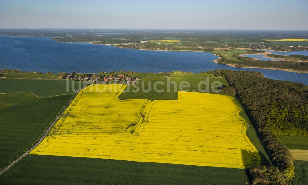 Ludorf aus der Vogelperspektive: Rapsfeld in Ludorf im Bundesland Mecklenburg-Vorpommern