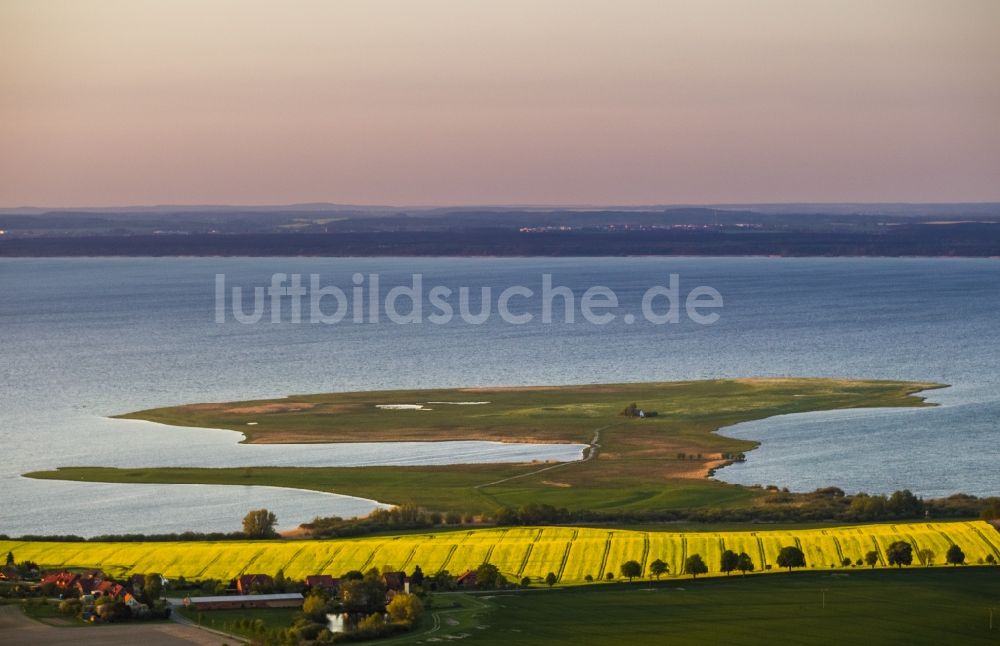 Ludorf von oben - Rapsfeld in Ludorf am Müritz im Bundesland Mecklenburg-Vorpommern