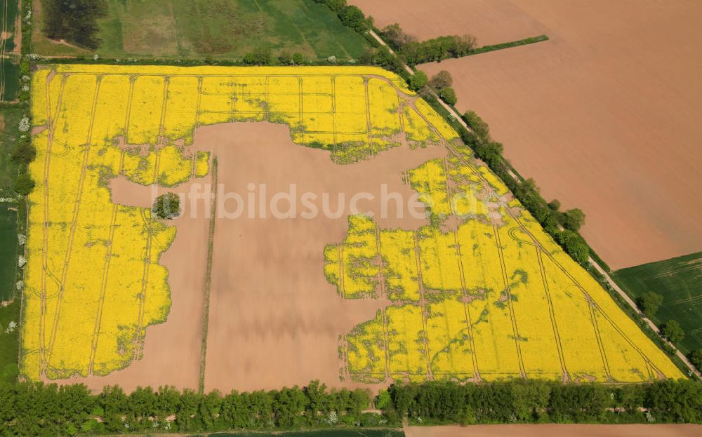 Luftbild Landesbergen - Rapsfeld mit menschlicher Form nahe Landesbergen, Niedersachsen