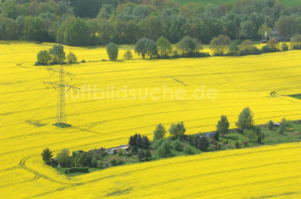 Chemnitz von oben - Rapsfeld südwestlich von Chemnitz / Sachsen