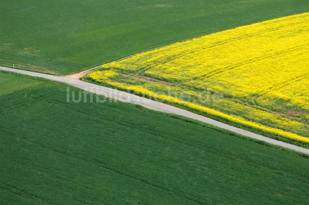 Chemnitz von oben - Rapsfeld südwestlich von Chemnitz / Sachsen