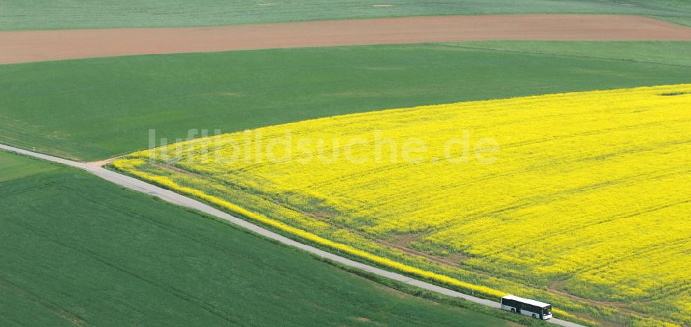 Luftaufnahme Chemnitz - Rapsfeld südwestlich von Chemnitz / Sachsen