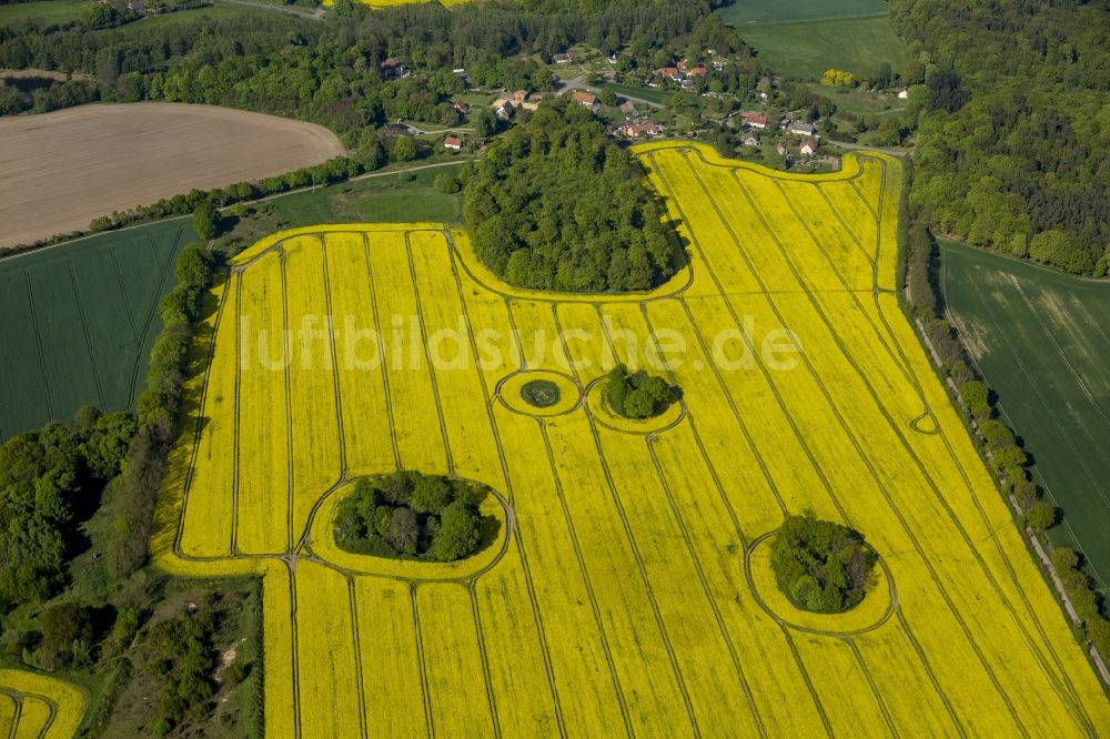 Luftaufnahme Groß Pankow (Prignitz) - Rapsfelder bei Groß Pankow (Prignitz) im Bundesland Brandenburg